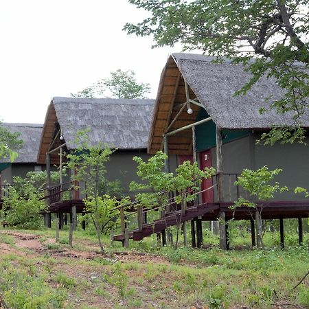 Lesoma Lion Roars Lodge מראה חיצוני תמונה