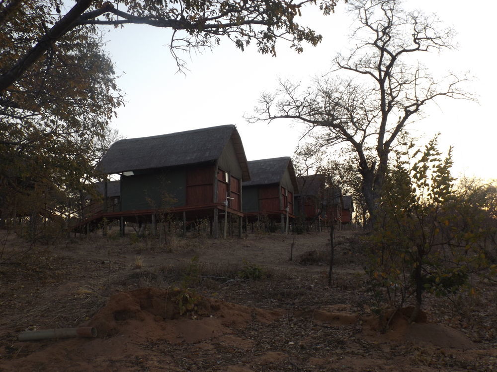 Lesoma Lion Roars Lodge מראה חיצוני תמונה