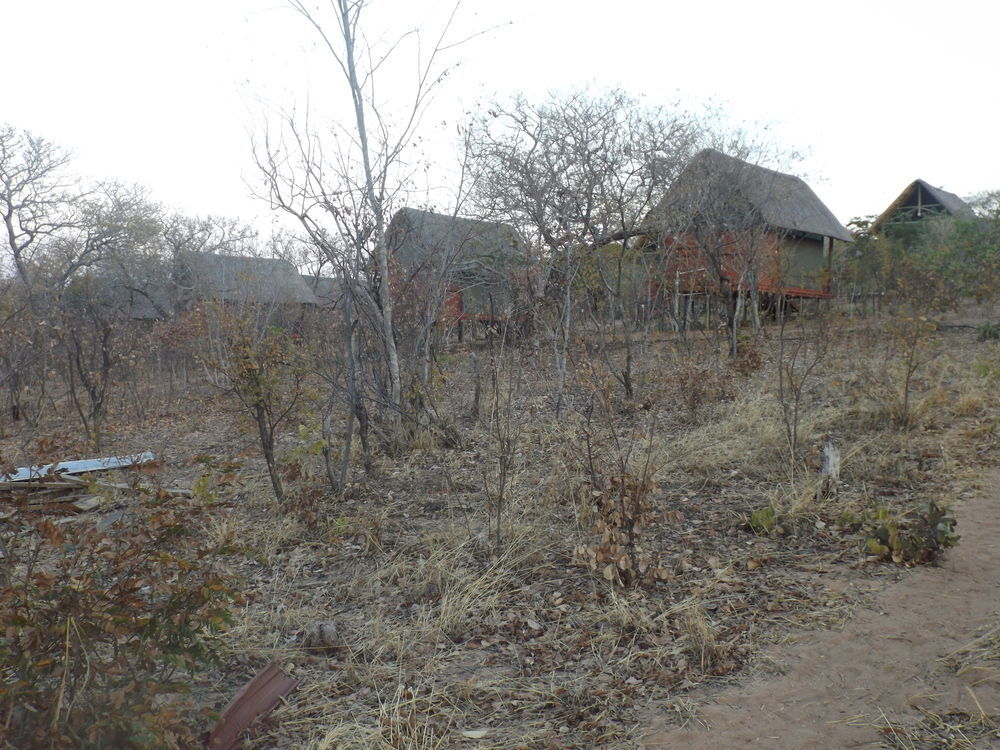 Lesoma Lion Roars Lodge מראה חיצוני תמונה