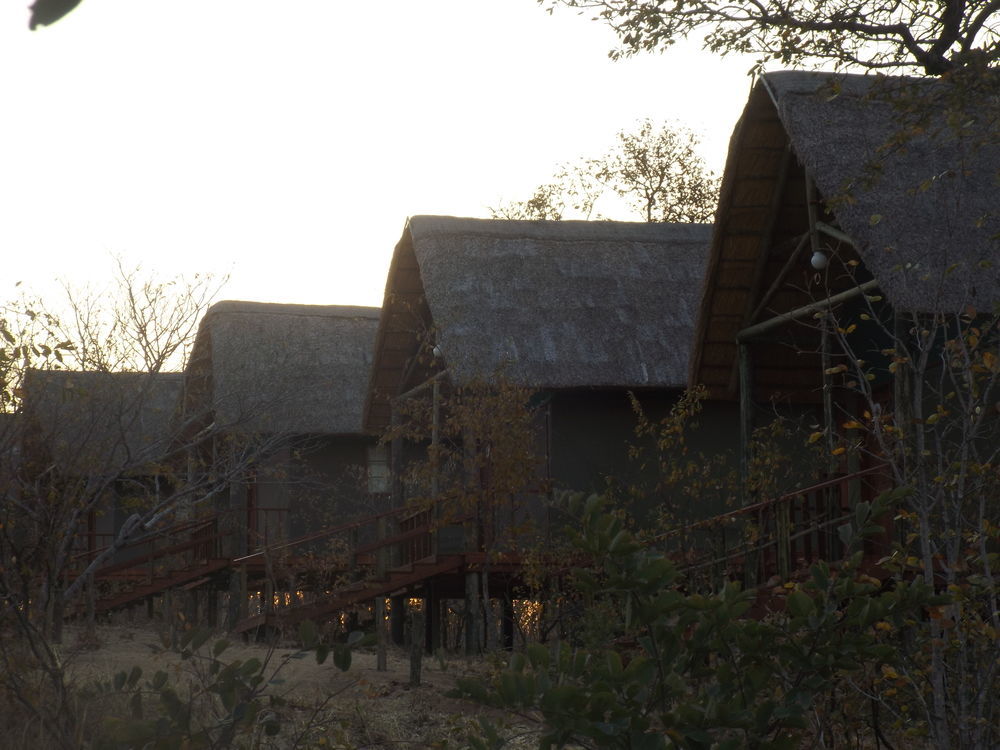 Lesoma Lion Roars Lodge מראה חיצוני תמונה