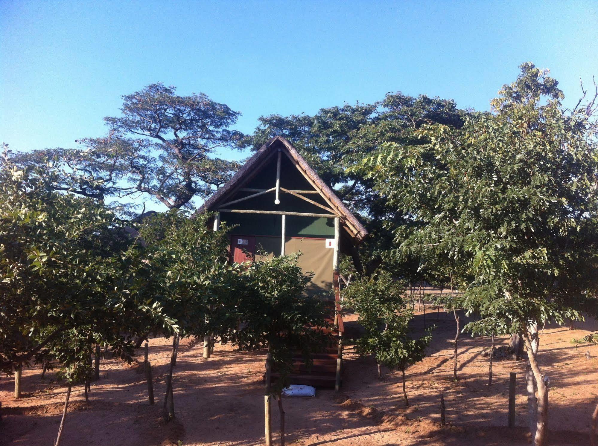 Lesoma Lion Roars Lodge מראה חיצוני תמונה