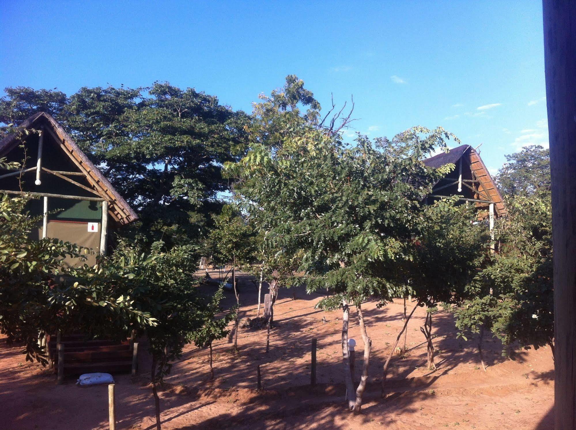 Lesoma Lion Roars Lodge מראה חיצוני תמונה