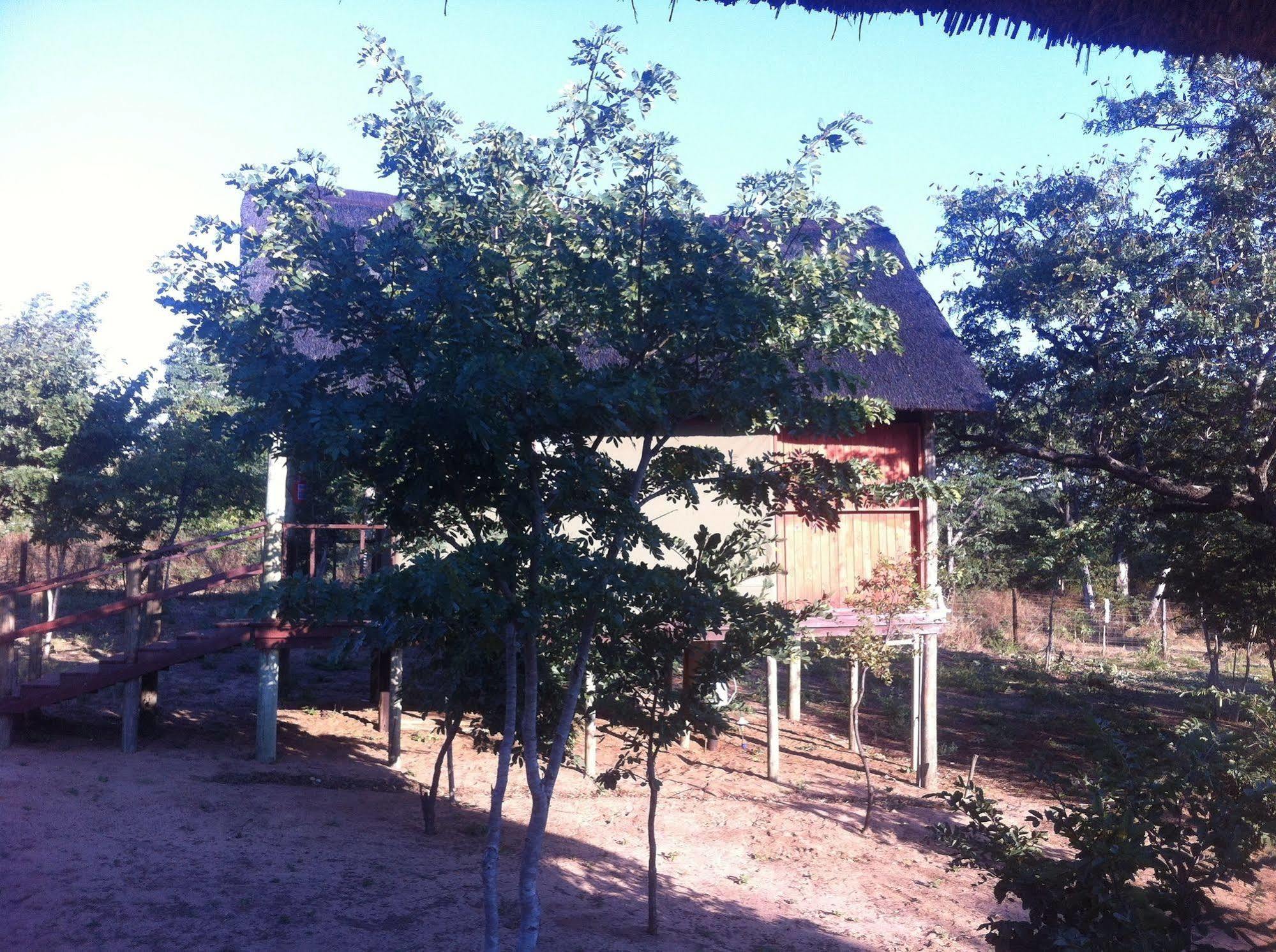Lesoma Lion Roars Lodge מראה חיצוני תמונה