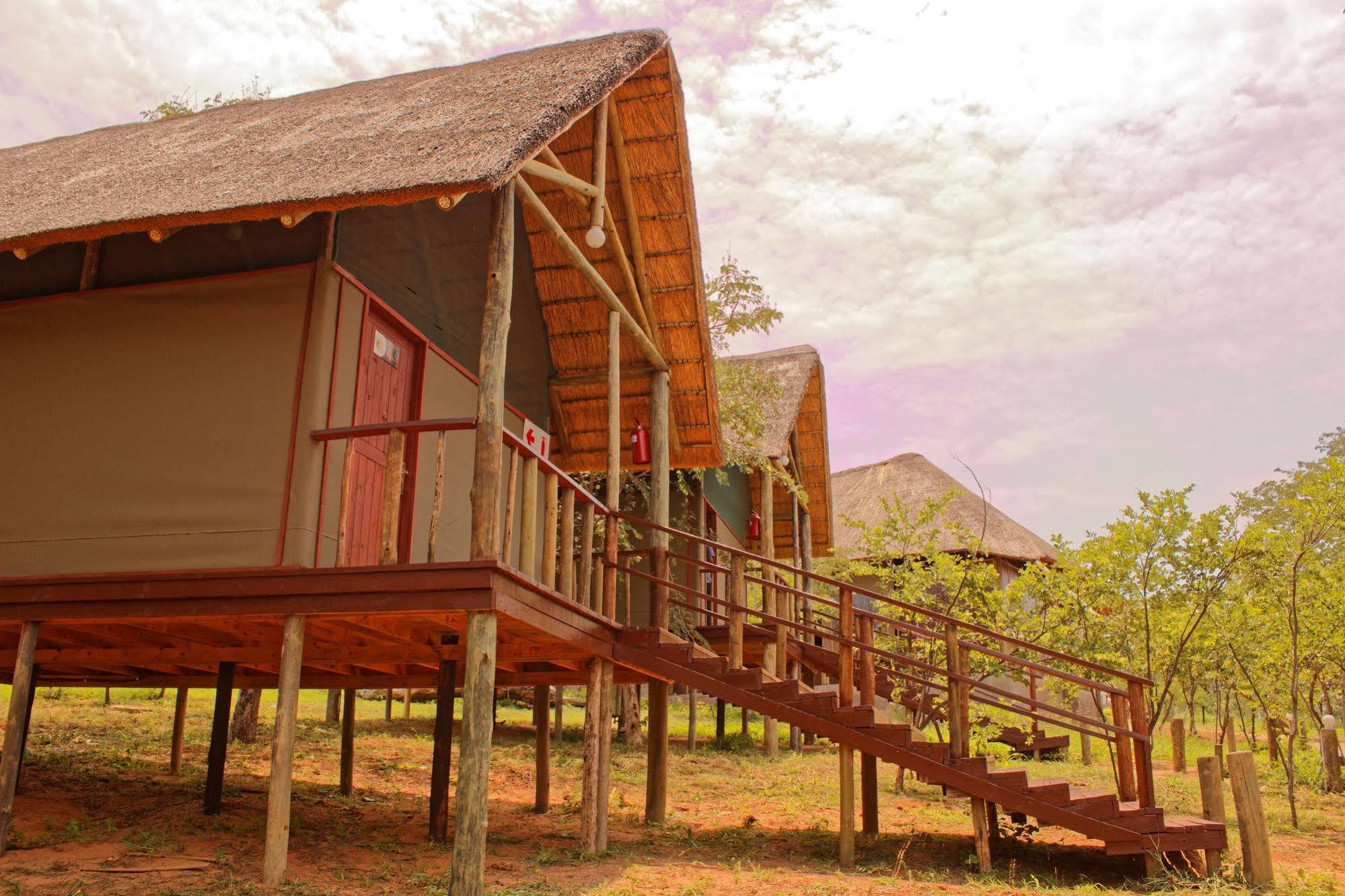 Lesoma Lion Roars Lodge מראה חיצוני תמונה